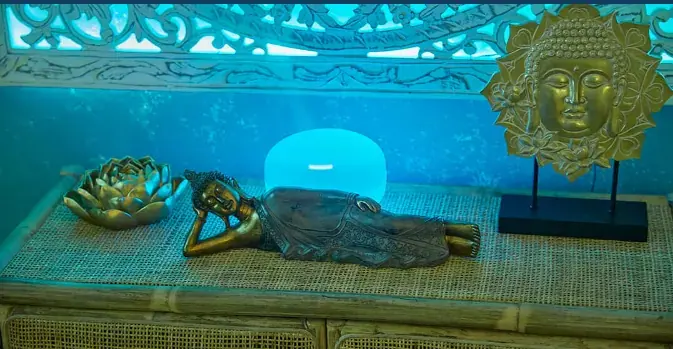 Artemis SPA, erotic massage in Lisbon, photo 6