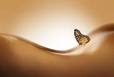 A monarch butterfly rests on a smooth, softly lit golden curve, evoking the calm of Butterfly Massage in Bangkok